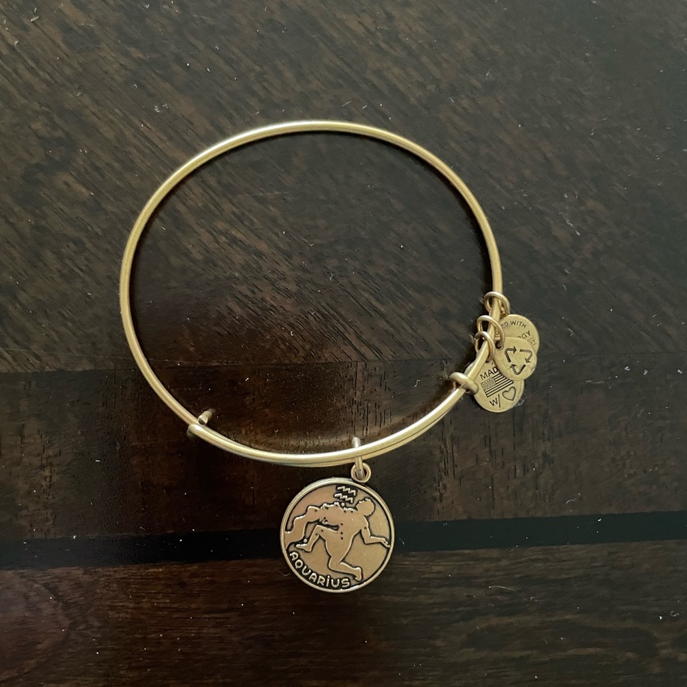 Alex and Ani Aquarius bracelet